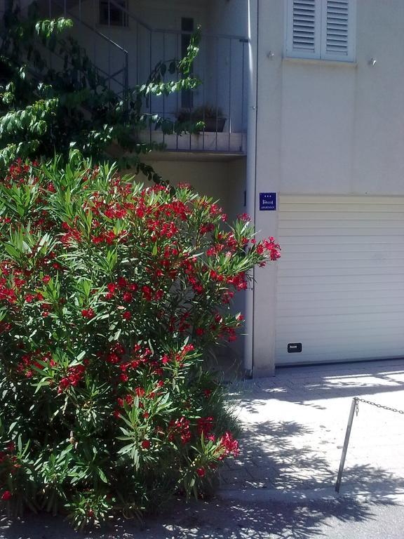Apartment Pamic Ντουμπρόβνικ Δωμάτιο φωτογραφία